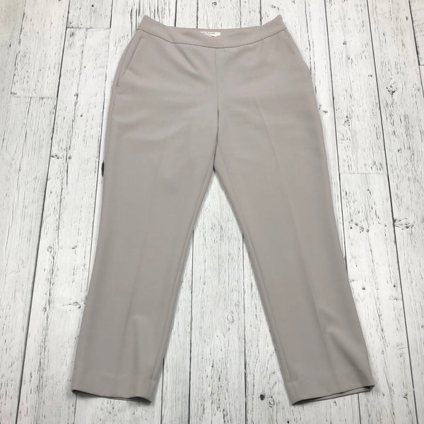 Babaton Aritzia Grey Dress Pants - Hers XS/2