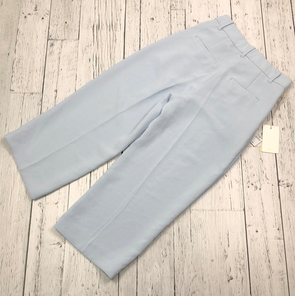 Wilfred Aritzia blue cropped dress pants - Hers XS/2