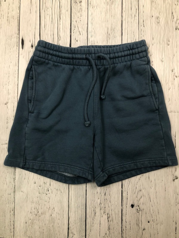 Tna Aritzia blue sweat shorts - Hers XS