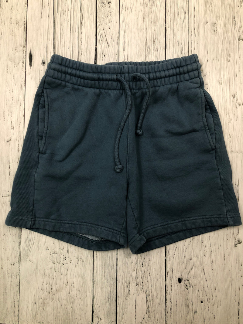 Tna Aritzia blue sweat shorts - Hers XS