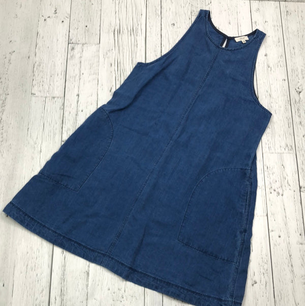 Wilfred Aritzia blue denim dress - Hers M