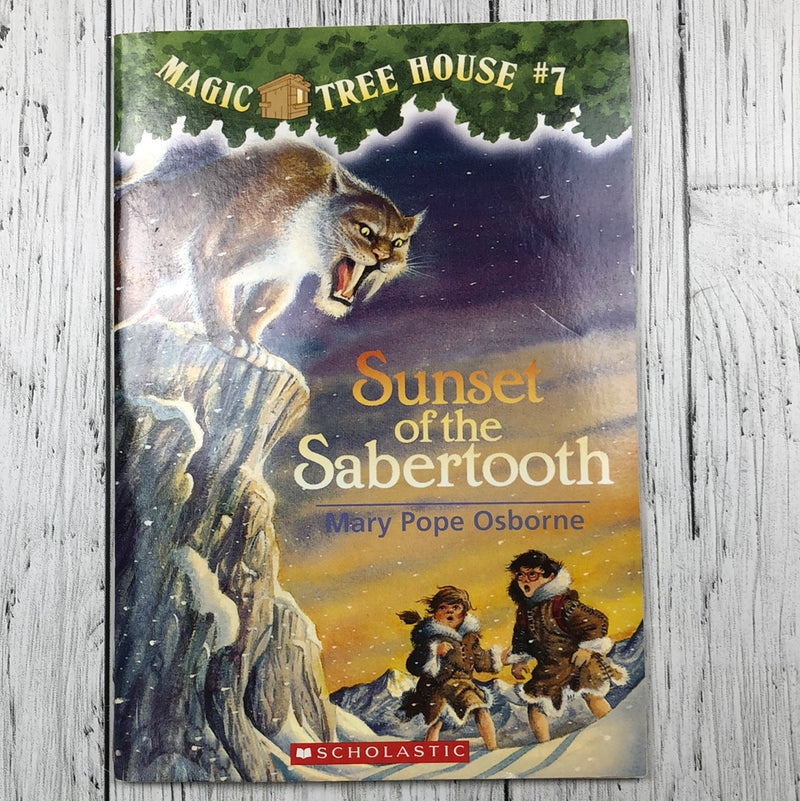Sunset of the Sabertooth - kids book
