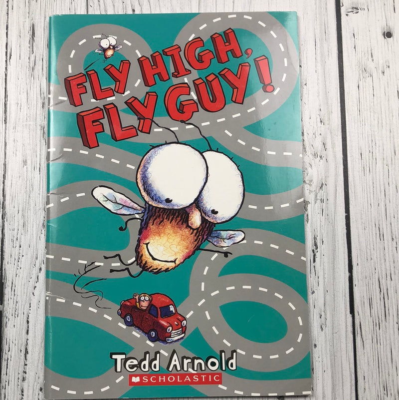 Fly High, Fly Guy! - kids book