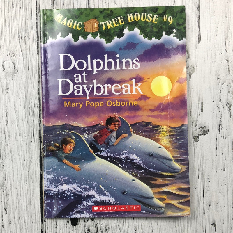 Dolphins at Daybreak - kids book