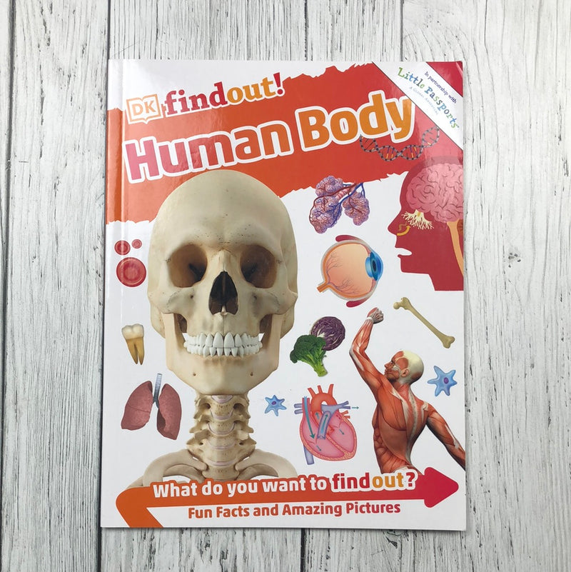 DK Findout! Human Body - Kids book