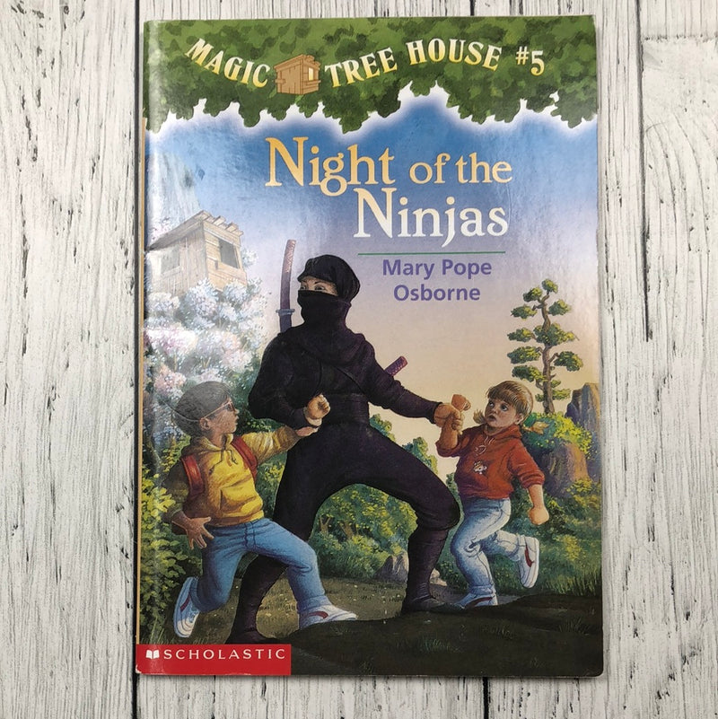 Night of the Ninjas - kids book
