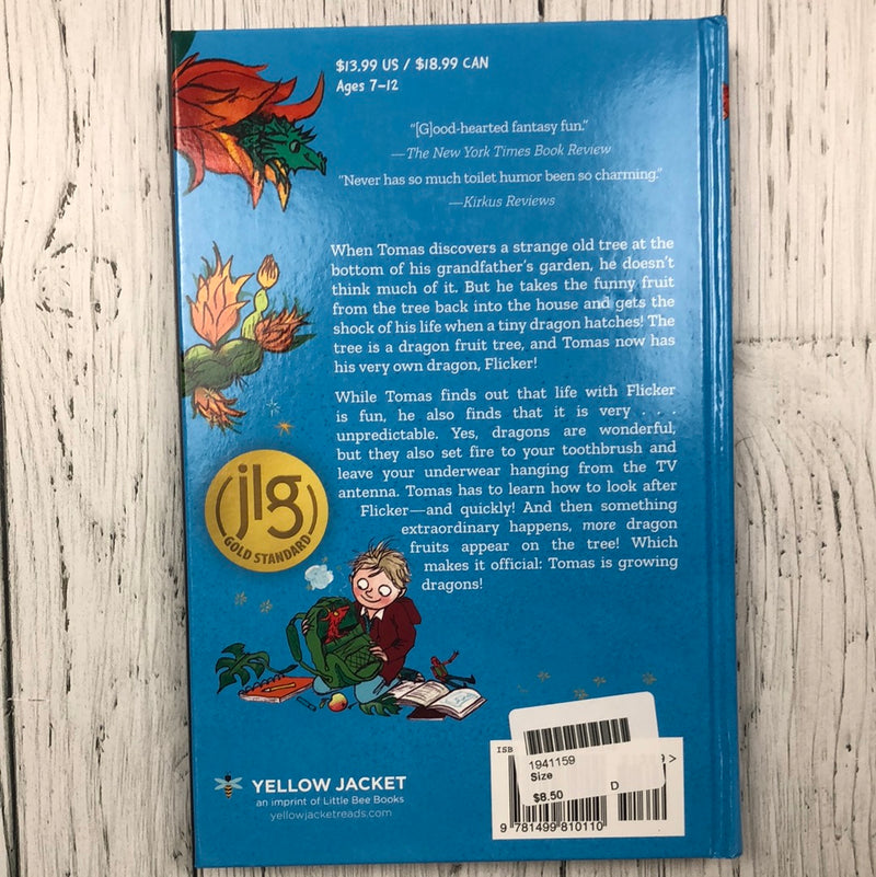 The Boy Who Grew Dragons - Kids book