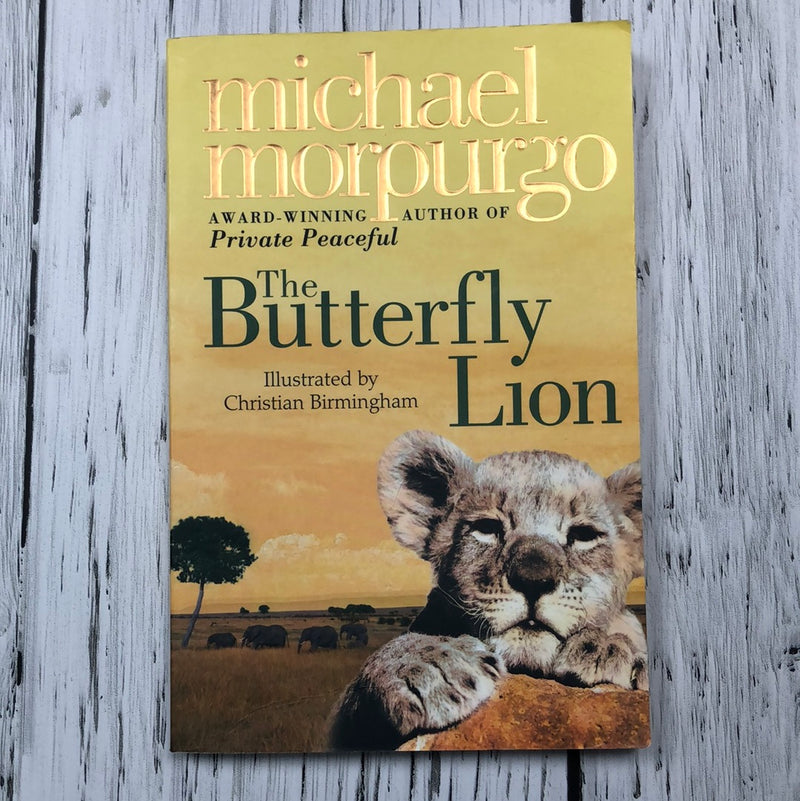 The Butterfly Lion - Kids Book