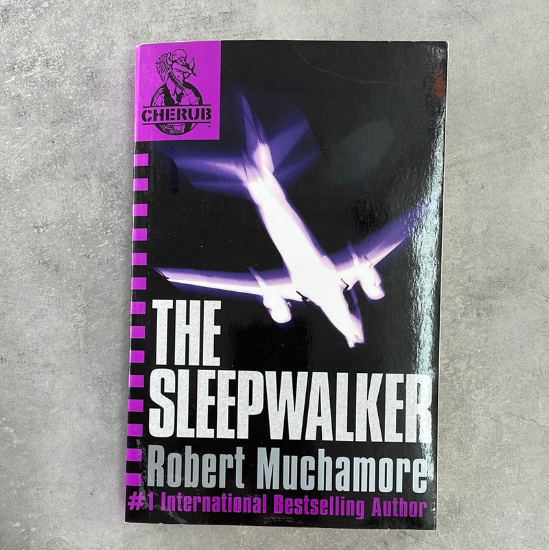 The Sleepwalker - Kids Book