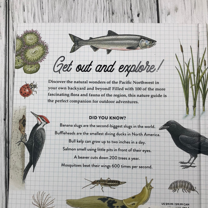 Curious Kids Nature Guide - Kids Book