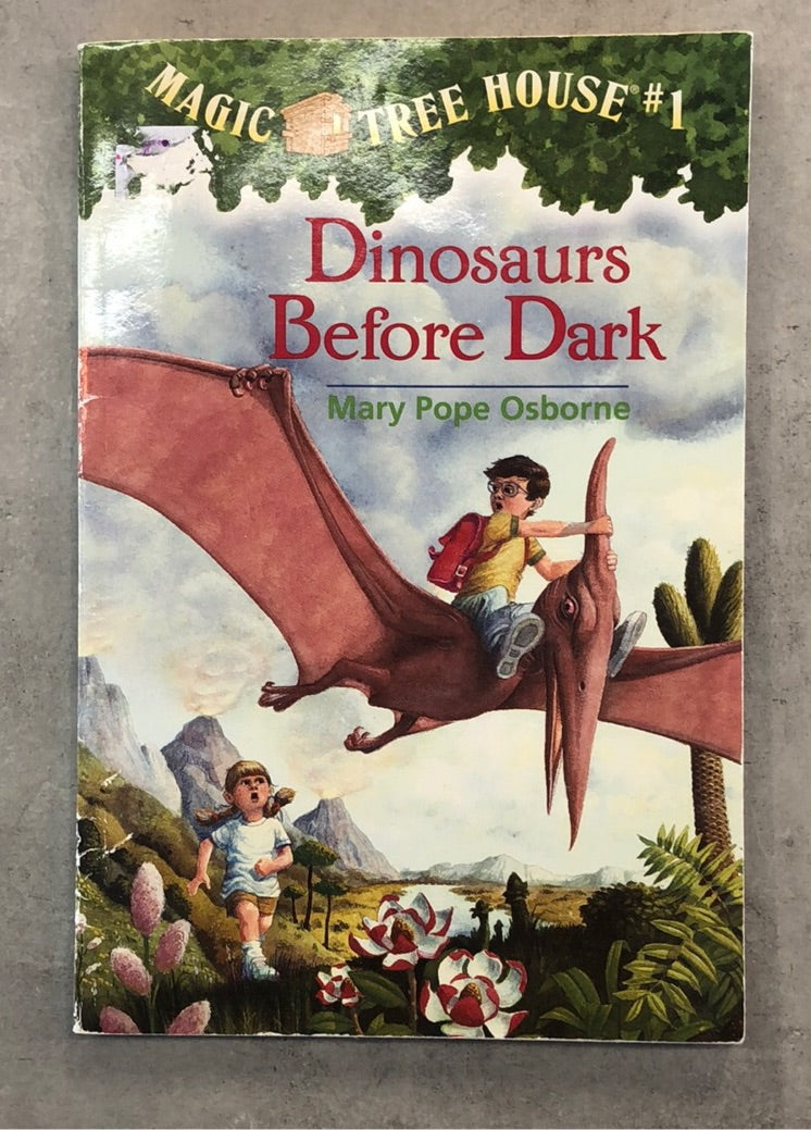 Dinosaurs before dark - Kids book